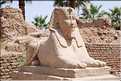 Le temple de Louxor commença à étre édifié vers 1400 av. J.C. (31)