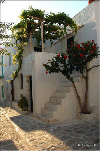 Ville de Parikia sur l'île de Paros, les Cyclades (4)