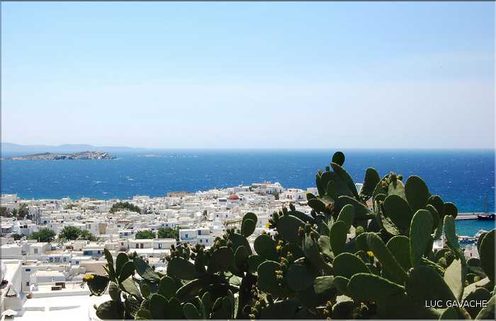 Ville de Mykonos sur l'île du même nom, les Cyclades (5)
