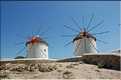 Ville de Mykonos sur l'île du même nom, les Cyclades (19)