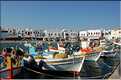 Ville de Mykonos sur l'île du même nom, les Cyclades (56)