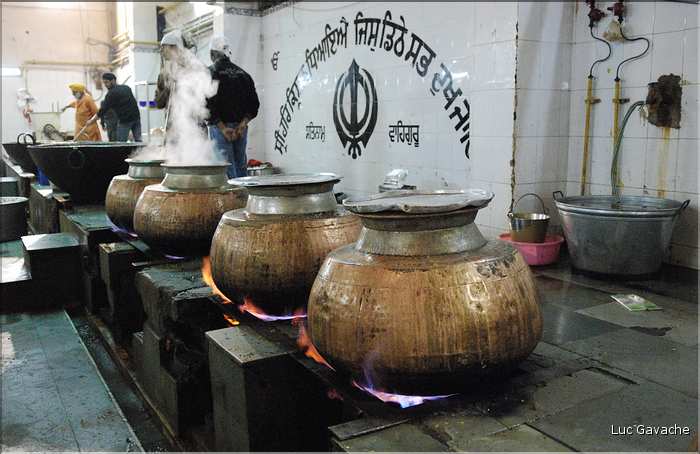 Le Temple Sikh de New Delhi est aussi un haut lieu de la charité. Préparation des repas. (4)