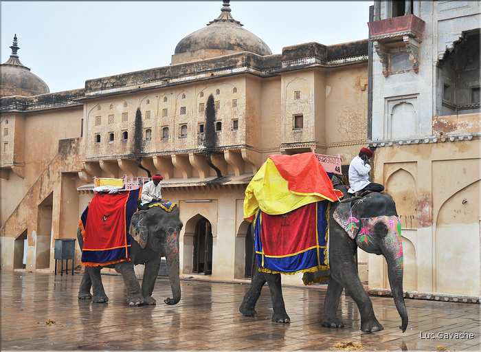Situé à 11 km de Japur sur l'ancienne route de Delhi, la forteresse d'Amber fut rebâtie au XVI ème siécle. (16)