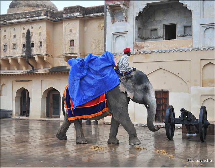 Situé à 11 km de Japur sur l'ancienne route de Delhi, la forteresse d'Amber fut rebâtie au XVI ème siécle. (18)