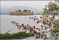 Palais flottant de Jal Mahal fut édifié à la fin du XVIII ème siècle. Japur (2)