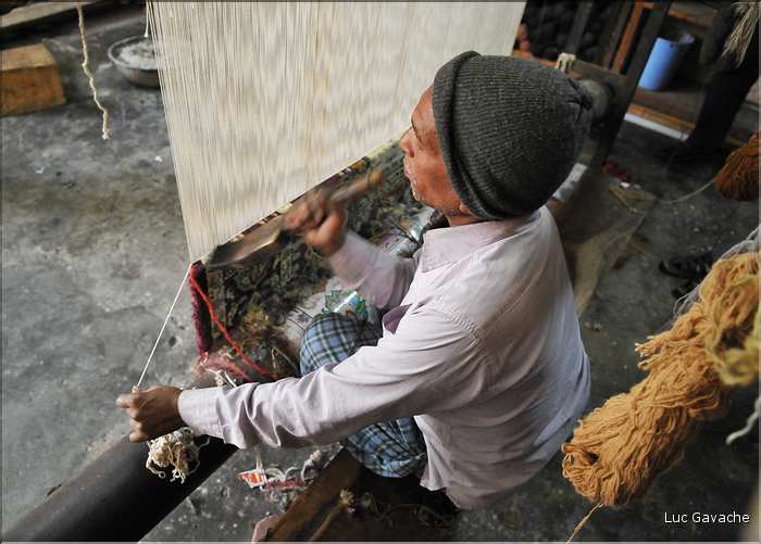Fabrique de tapis artisanaux à Japur. (3)