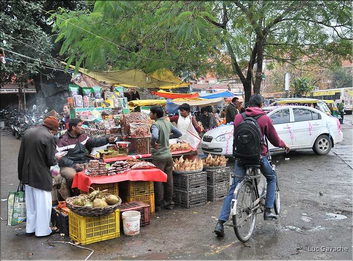 Scènes de vie dans la ville Rose de Japur, capitale du Rajasthan. (16)