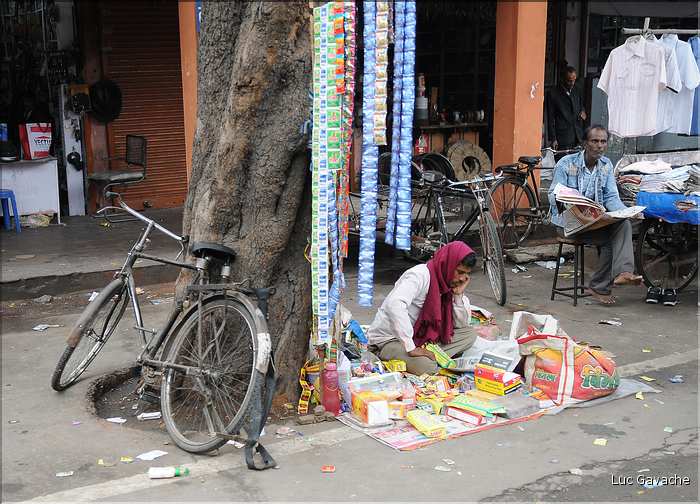 Scènes de vie dans la ville Rose de Japur, capitale du Rajasthan. (20)