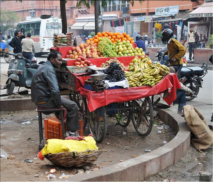 Scènes de vie dans la ville Rose de Japur, capitale du Rajasthan. (25)