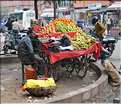 Scènes de vie dans la ville Rose de Japur, capitale du Rajasthan. (25)