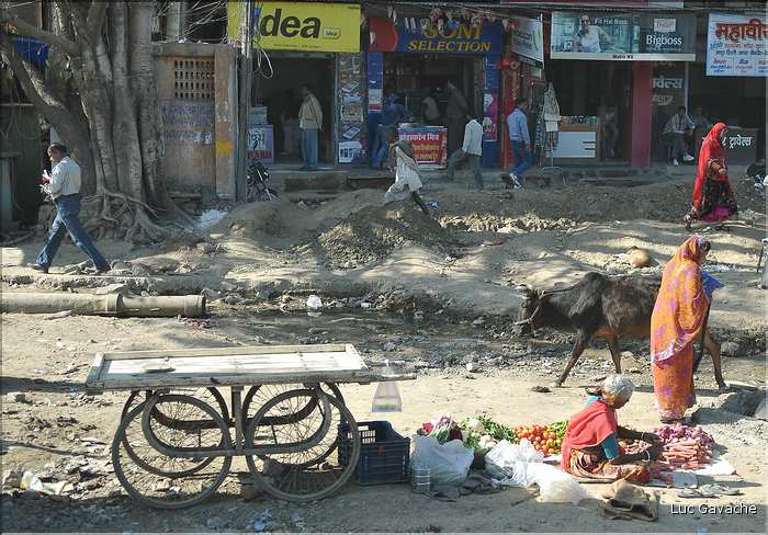 Route Udapur-Japur. (2)