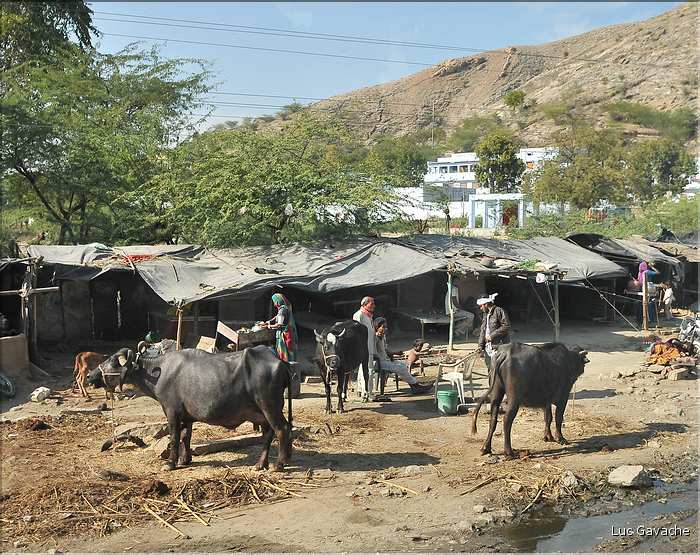 Route Udapur-Japur. (4)