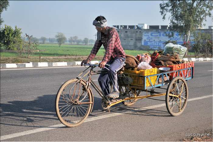 Route Japur-Agra dans l'Est du Rajasthan. (11)