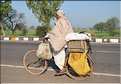 Route Japur-Agra dans l'Est du Rajasthan. (12)