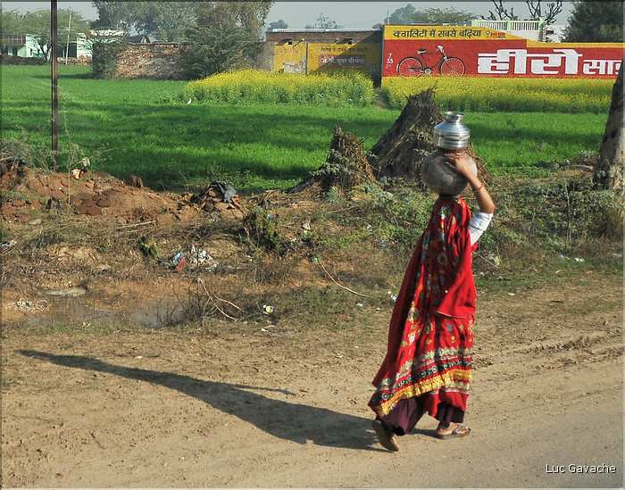 Route Japur-Agra dans l'Est du Rajasthan. (14)
