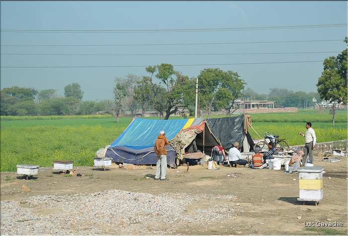 Route Japur-Agra dans l'Est du Rajasthan. (15)