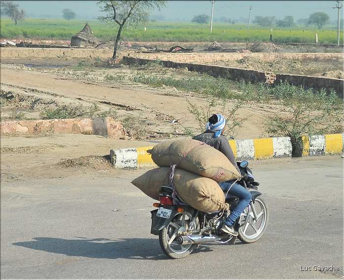 Route Japur-Agra dans l'Est du Rajasthan. (16)