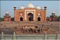 De chaque côté du Taj Mahal fut édifiée une Mosquée et sa réplique pour garder l'harmonie du site. Agra. (61)
