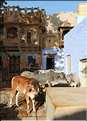 Ruelles et battisses dans l'enceinte de la forteresse de Jaisalmer. (7)