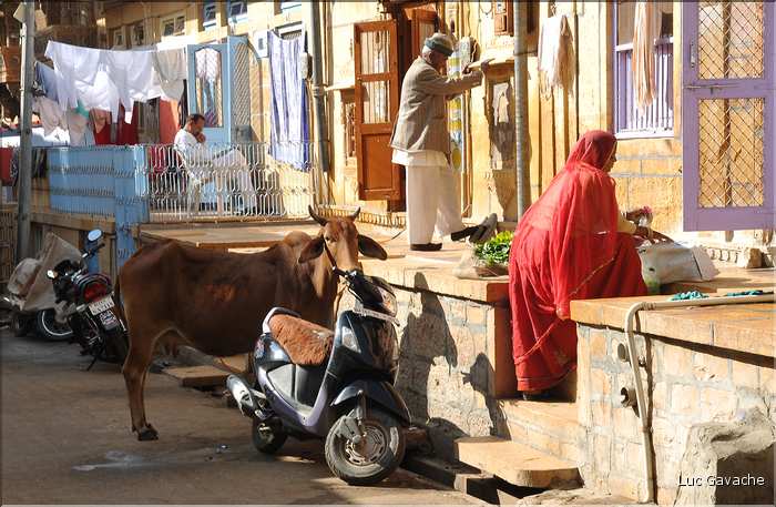 Les habitants de la vielle ville de Jaisalmer. (4)