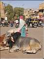 Les habitants de la vielle ville de Jaisalmer. (12)