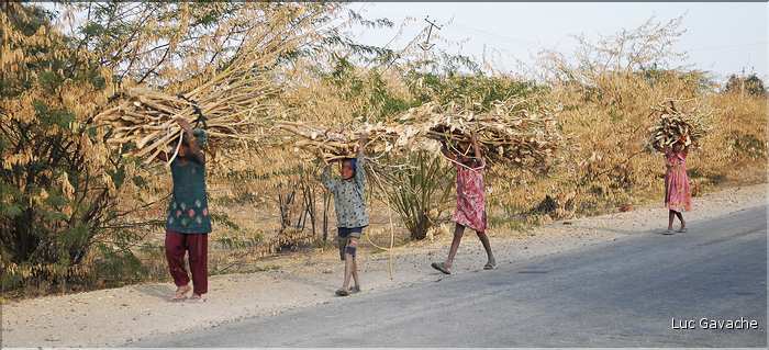 Sur la route entre Jaisalmer et Dhechu. (2)