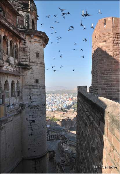 La forteresse de Mehrangarh -XV ème siècle- domine Jodhpur surnommée la ville bleu. (23)