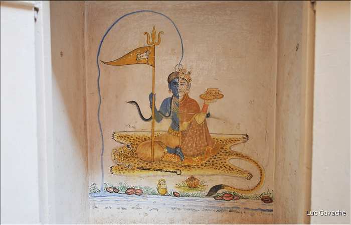 La forteresse de Mehrangarh -XV ème siècle- domine Jodhpur surnommée la ville bleu. (54)