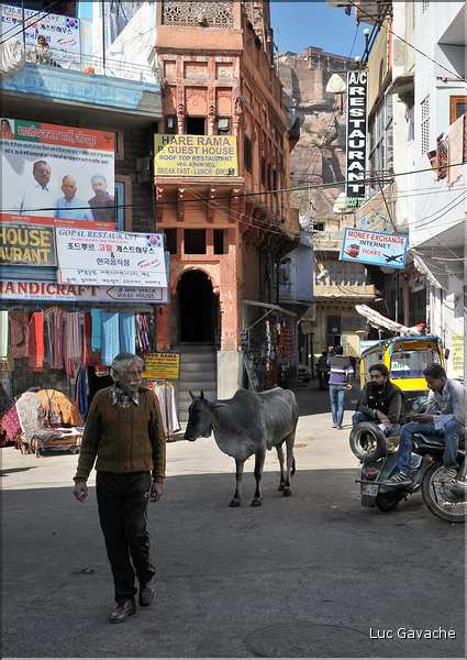 scènes de vie dans les rues de Jodhpur. (8)