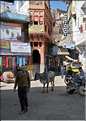 scènes de vie dans les rues de Jodhpur. (8)
