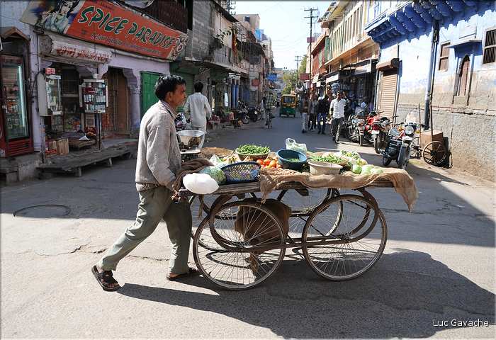 scènes de vie dans les rues de Jodhpur. (15)