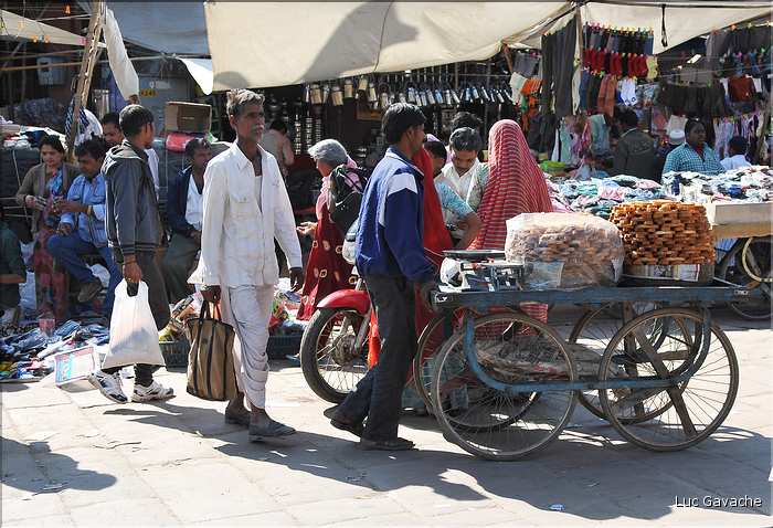 scènes de vie dans les rues de Jodhpur. (18)