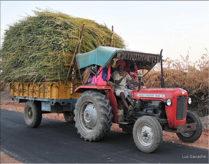 La région paysanne de Jojawar qui est située au Sud du Rajasthan est d'une grande authenticitée. (2)