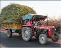 La région paysanne de Jojawar qui est située au Sud du Rajasthan est d'une grande authenticitée. (2)