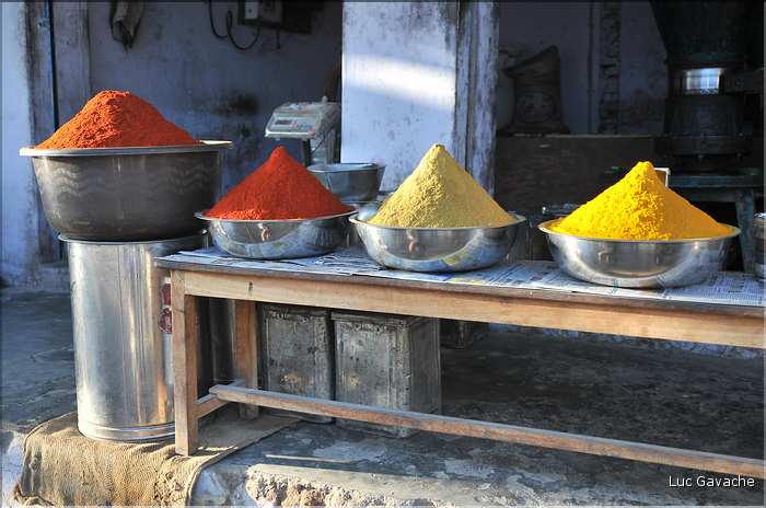 La région paysanne de Jojawar qui est située au Sud du Rajasthan est d'une grande authenticitée. (7)