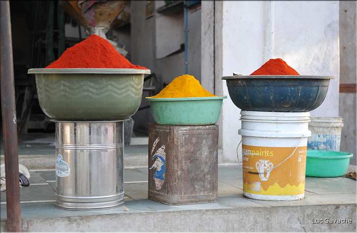 La région paysanne de Jojawar qui est située au Sud du Rajasthan est d'une grande authenticitée. (16)