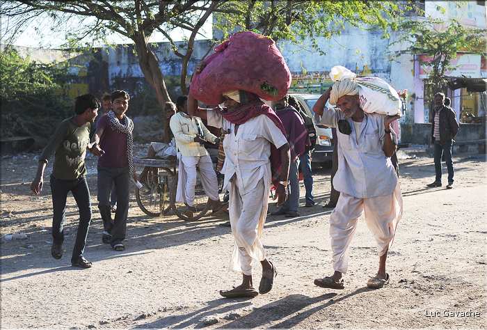 La région paysanne de Jojawar qui est située au Sud du Rajasthan est d'une grande authenticitée. (17)