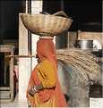 La région paysanne de Jojawar qui est située au Sud du Rajasthan est d'une grande authenticitée. (20)