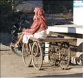 La région paysanne de Jojawar qui est située au Sud du Rajasthan est d'une grande authenticitée. (24)