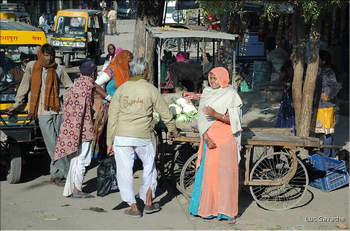 La région paysanne de Jojawar qui est située au Sud du Rajasthan est d'une grande authenticitée. (37)