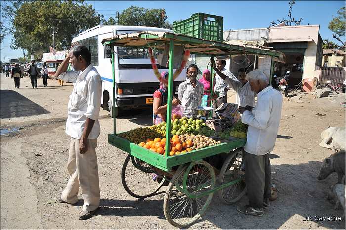 La région paysanne de Jojawar qui est située au Sud du Rajasthan est d'une grande authenticitée. (51)