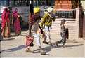 La région paysanne de Jojawar qui est située au Sud du Rajasthan est d'une grande authenticitée. (52)