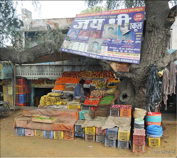 Sur la route Japur-Mandawa. (2)