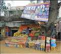 Sur la route Japur-Mandawa. (2)