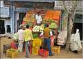 Sur la route Japur-Mandawa. (3)
