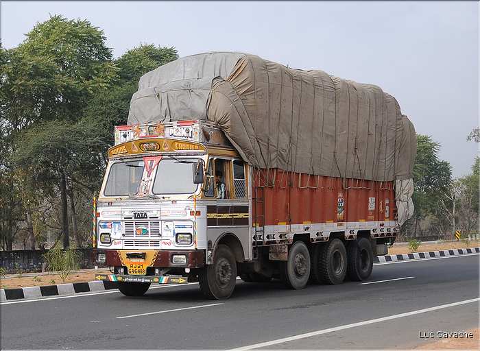 Sur la route Japur-Mandawa. (5)