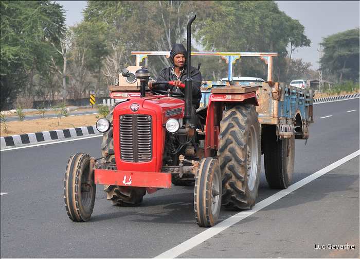 Sur la route Japur-Mandawa. (7)