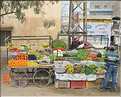 Bikaner est une ville très animée. (45)