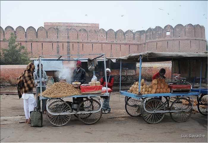 Bikaner est une ville très animée. (49)