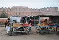 Bikaner est une ville très animée. (49)